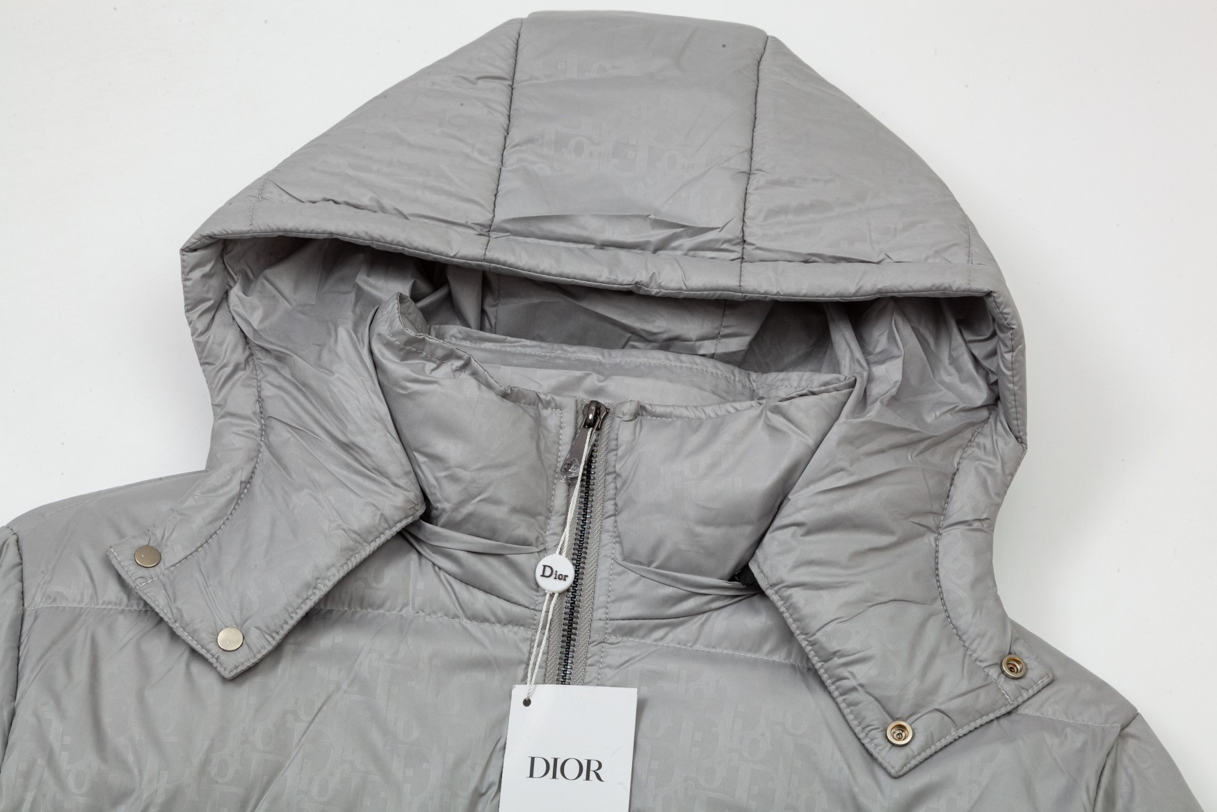 Christian Dior Down Jackets